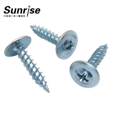 Phillip Recess Truss Head Tornillo עצמית בורג