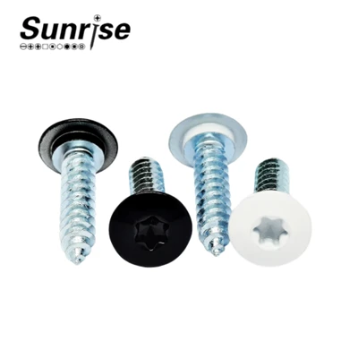 Torx Pan Head בורג הקשה עצמית